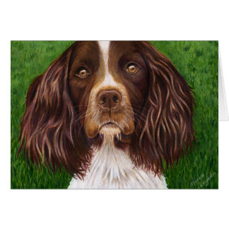 English Springer Spaniel Dog Art - Major Cards