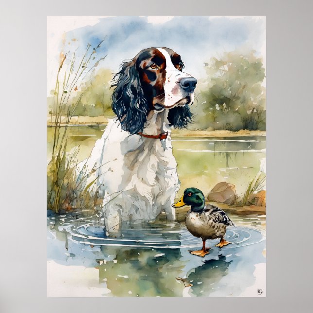 English Springer Spaniel - Dog Art Print (Front)