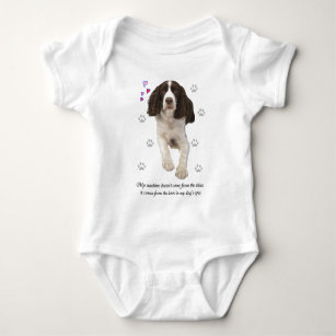 springer spaniel clothes