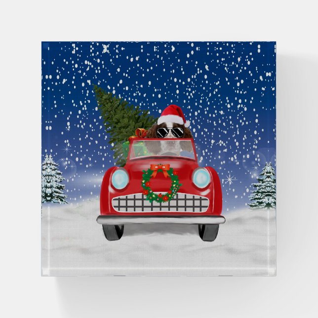 English Springer Spaniel Dog Car In Snow Christmas Paperweight (Front)