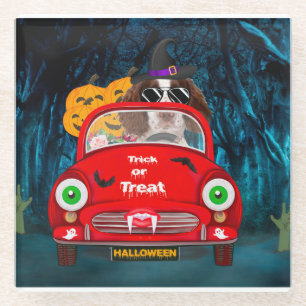 English Springer Spaniel dog Car Scary Halloween Glass Coaster