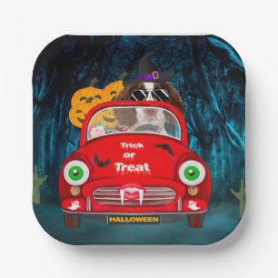 English Springer Spaniel dog Car Scary Halloween Paper Plates