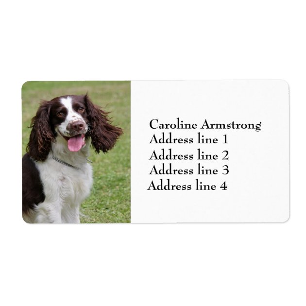 Personalized Address labels English Springer Spaniel Buy 3 get 1 Free p 883 