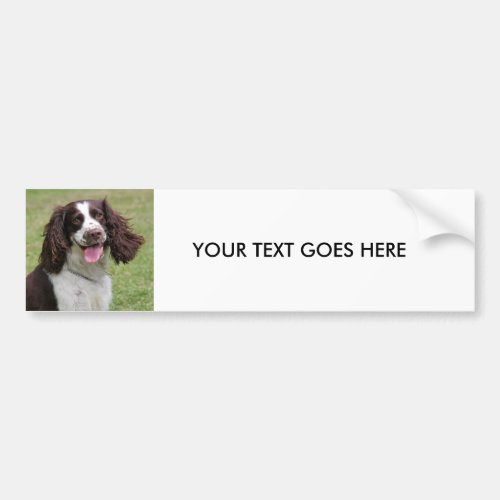 English Springer Spaniel dog custom bumper sticker