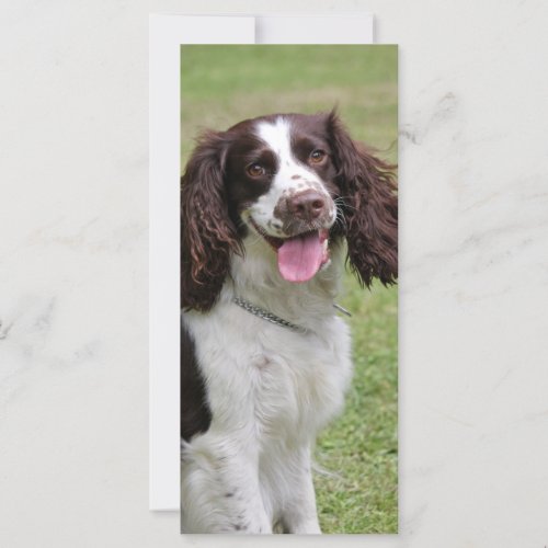 English Springer Spaniel dog photo custom bookmark