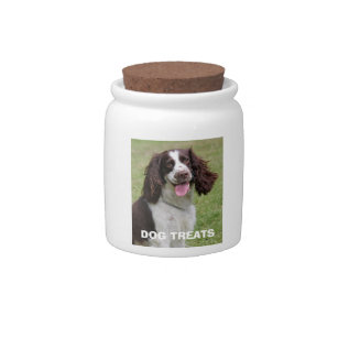 English Springer Spaniel dog photo dog treats jar