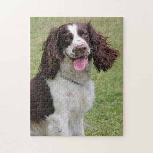 English Springer Spaniel dog photo jigsaw puzzle
