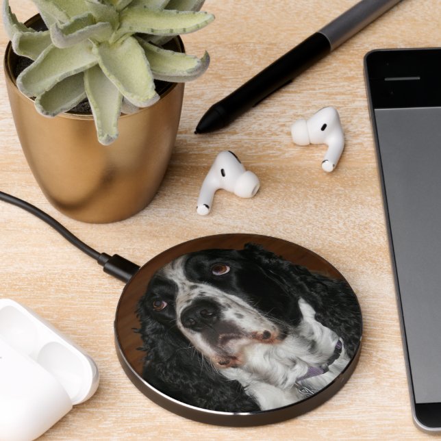 English Springer Spaniel Dog Photo Wireless Charger (Desk 2)