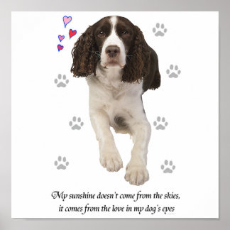 English Springer Spaniel Dog Poster