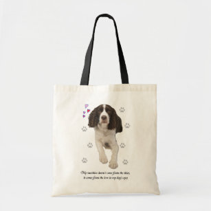 springer spaniel accessories
