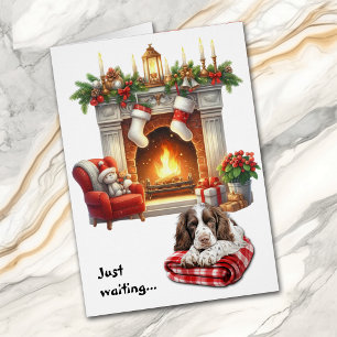 English Springer Spaniel Dog Waiting for Christmas Cards