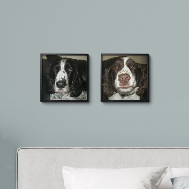 English Springer Spaniel Dogs Peel And Stick Photo Tile (Bedroom)