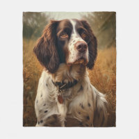 English Springer Spaniel