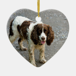 english springer spaniel full.png ceramic ornament