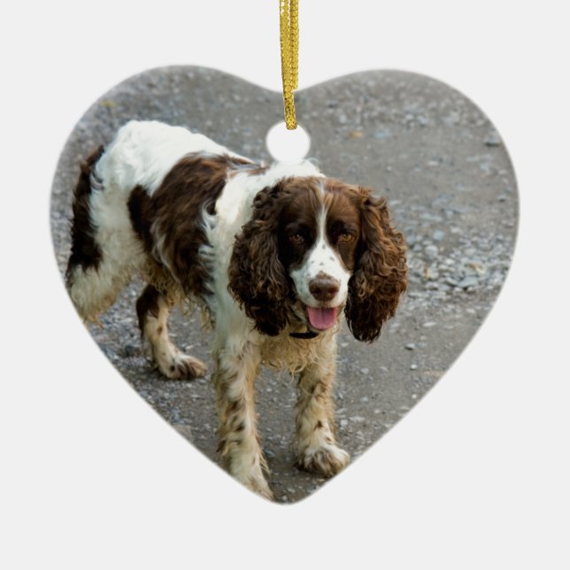 english springer spaniel full.png ceramic ornament (Front)