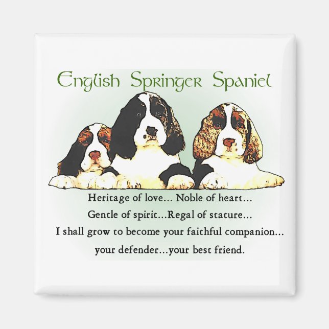 English Springer Spaniel Gifts Magnet (Front)
