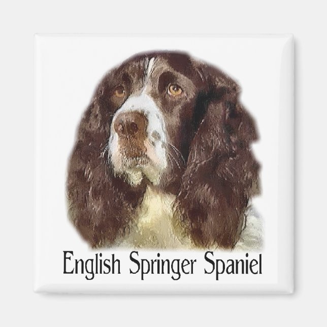 English Springer Spaniel Gifts Magnet (Front)