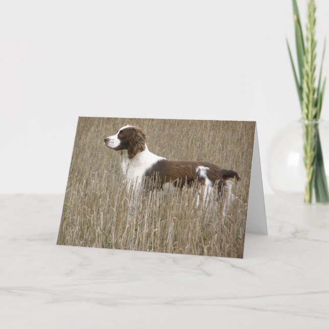 English Springer Spaniel - Greeting Card (Front)