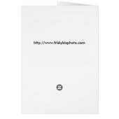 English Springer Spaniel Hunts (Back)