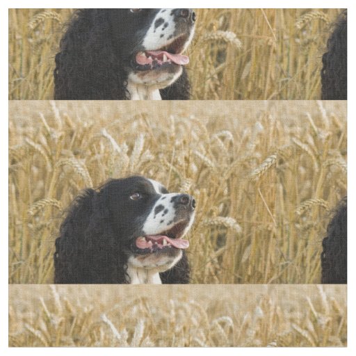 english springer spaniel in wheat.png fabric