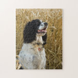 English Springer Spaniel In Wheat.png Jigsaw Puzzle at Zazzle
