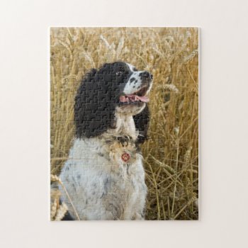 English Springer Spaniel In Wheat.png Jigsaw Puzzle by BreakoutTees at Zazzle
