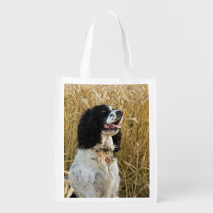 english springer spaniel in wheat.png reusable grocery bag
