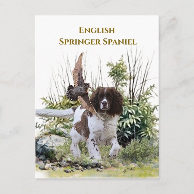  English Springer Spaniel  Invitation Postcard (Front)