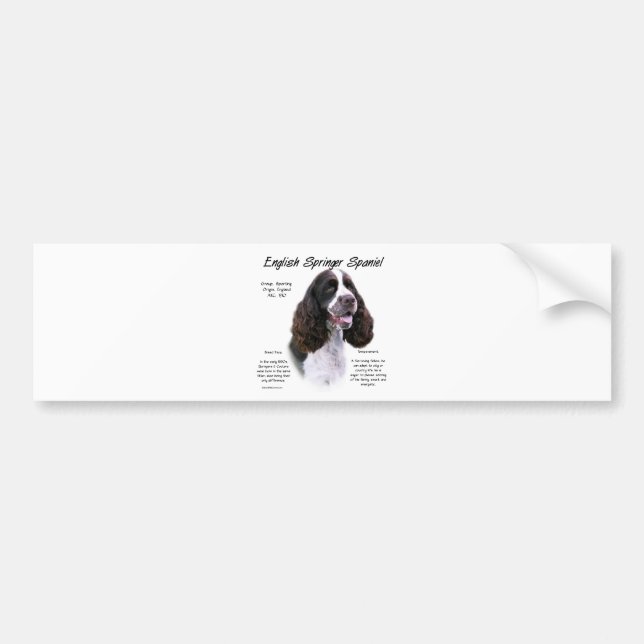 English Springer Spaniel (liver) History Design Bumper Sticker (Front)