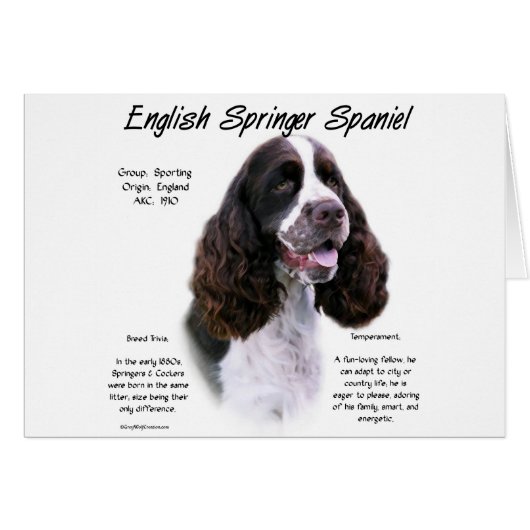 English Springer Spaniel (liver) History Design Cards (Front Horizontal)