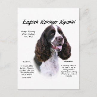 English Springer Spaniel (liver) History Design Postcard