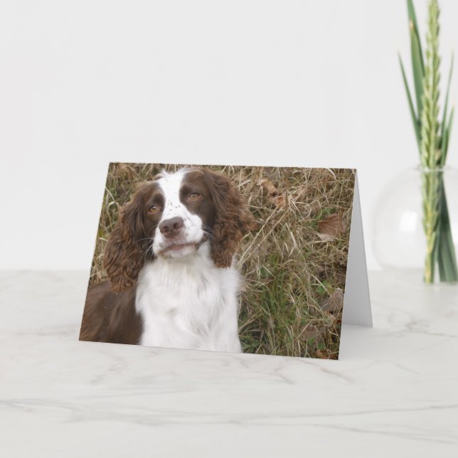 English Springer Spaniel - Man's Best Friend Card (Front)