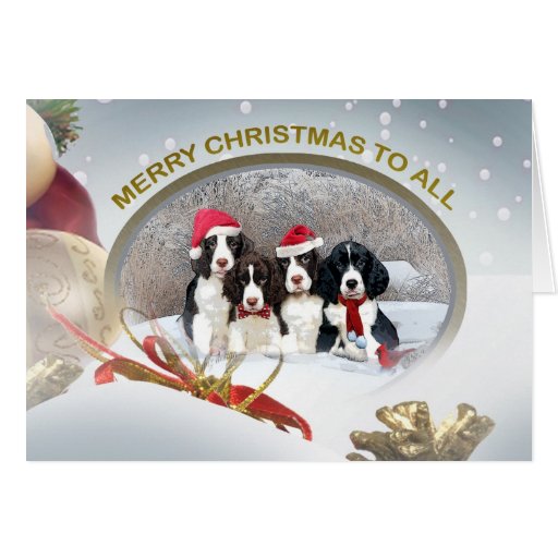 English Springer Spaniel Merry Christmas To All Card | Zazzle