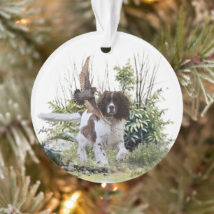 English Springer Spaniel Ornament