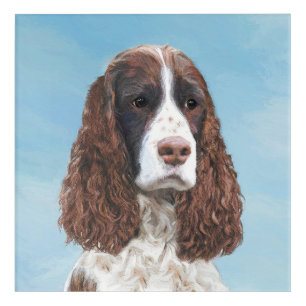 English Springer Spaniel Painting Original Dog Art
