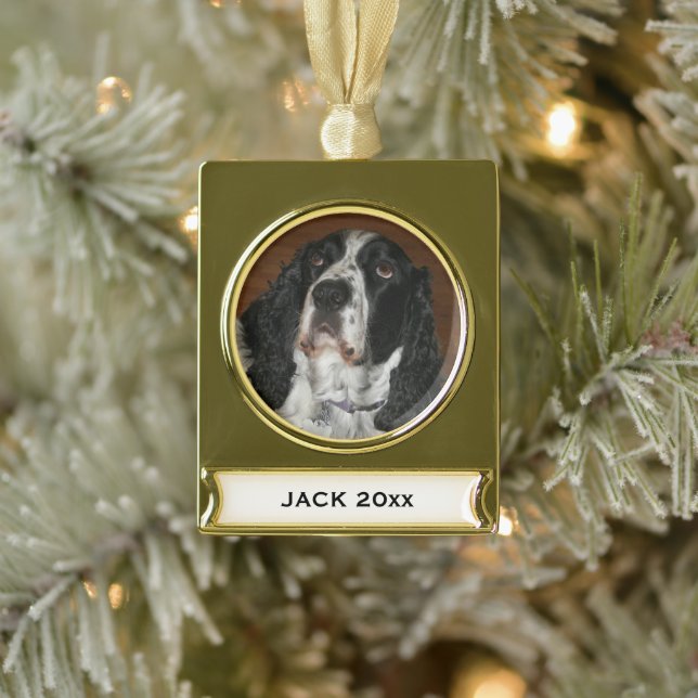 English Springer Spaniel Personalized Pet Photo Gold Plated Banner Ornament (Tree)