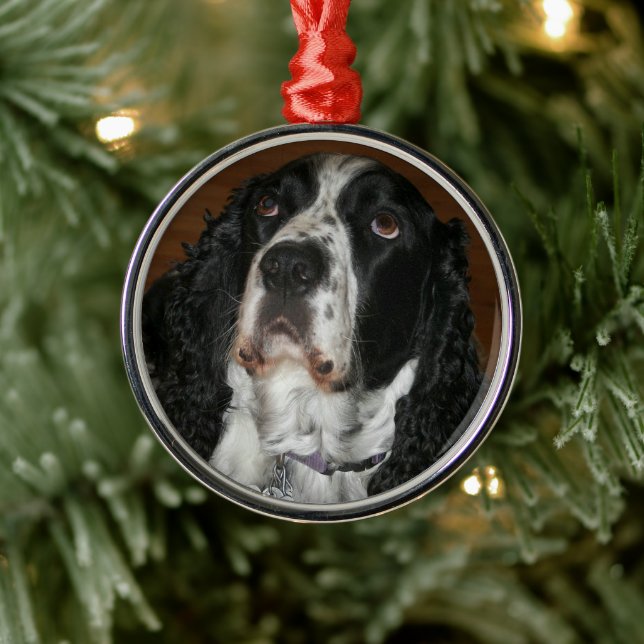 English Springer Spaniel Personalized Pet Photo Metal Ornament (Tree)