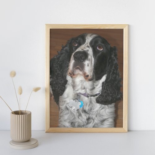 English Springer Spaniel Pet Dog Photo Print