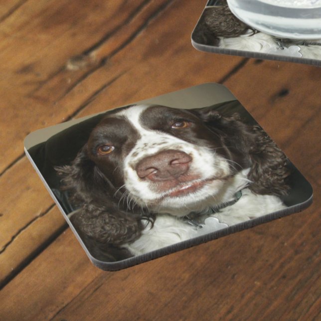 English Springer Spaniel Pet Photo Beverage Coaster (In Situ Angled)