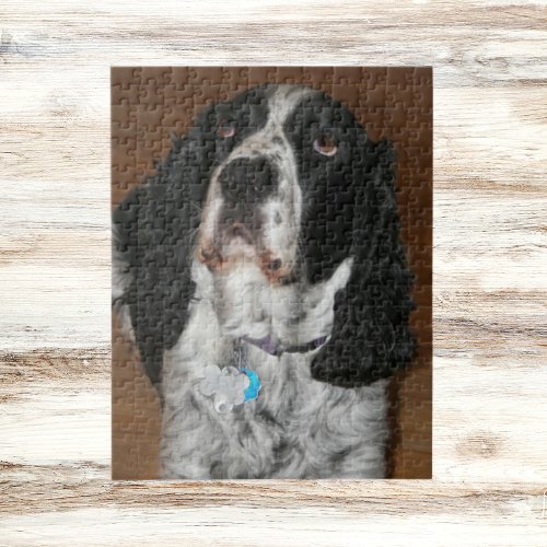 English Springer Spaniel Pet Photo Jigsaw Puzzle