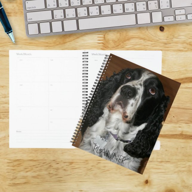 English Springer Spaniel Pet Photo Planner (In Situ)