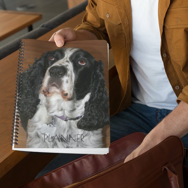 English Springer Spaniel Pet Photo Planner (In Situ)