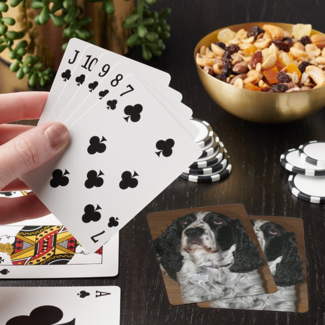 English Springer Spaniel Pet Photo Poker Cards (In Situ)