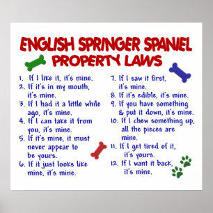 ENGLISH SPRINGER SPANIEL PL2 POSTER