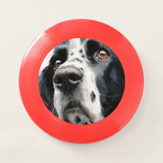 English springer spaniel portrait Wham-O frisbee