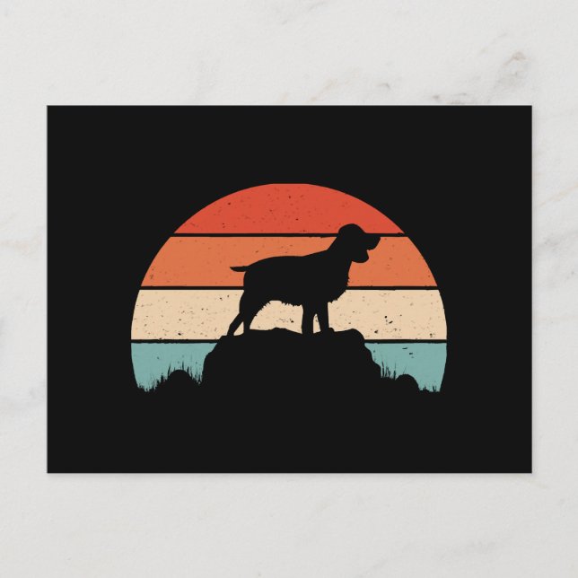 English springer spaniel postcard (Front)