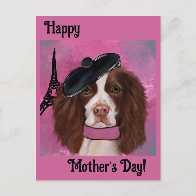 English Springer Spaniel       Postcard (Front)