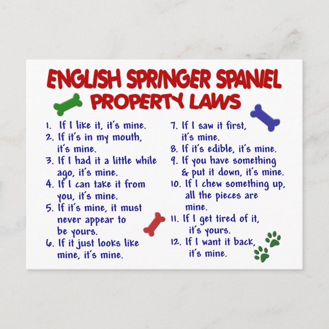 ENGLISH SPRINGER SPANIEL Property Laws 2 Postcard (Front)
