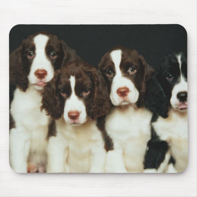 English Springer Spaniel Puppies (2) Mouse Pad (Front)