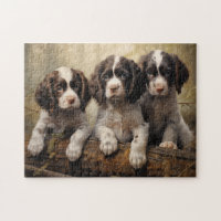 English springer spaniel puppies